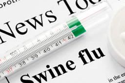 swine flu news image