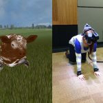 images from virtual reality study